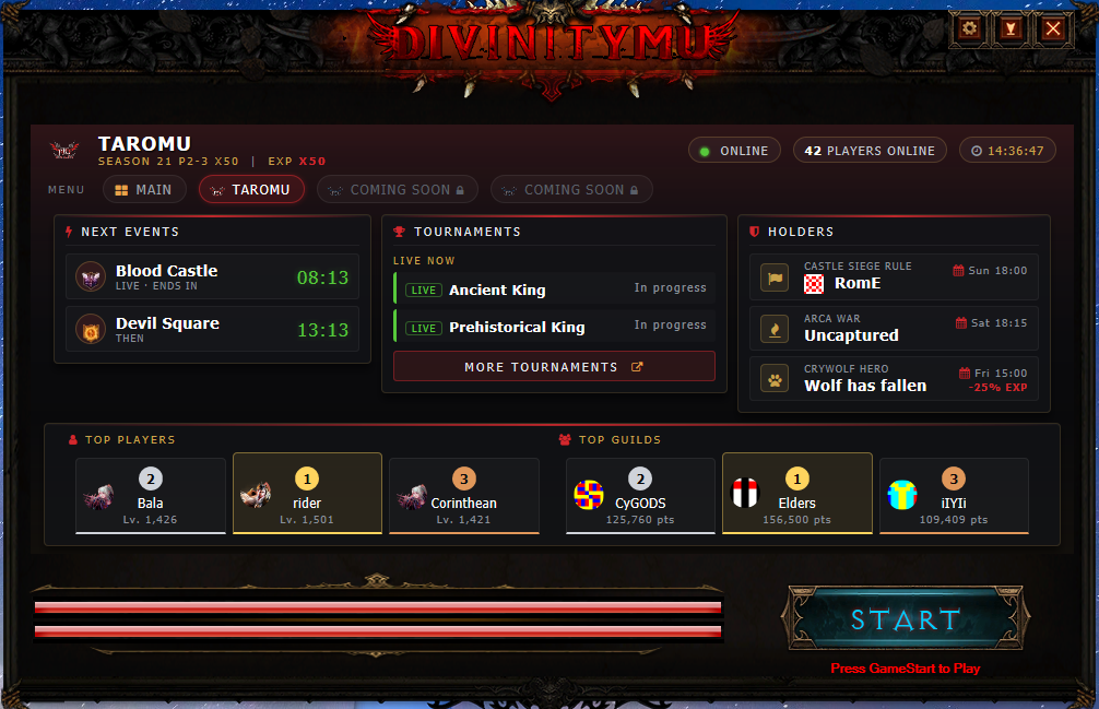 The launcher dashboard for a server tab.