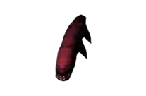 Deep Dungeon Larva
